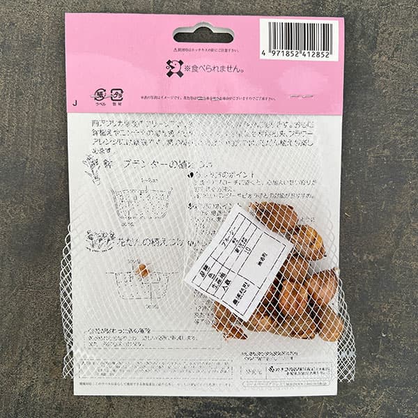 フリージア(一重咲):紫10球入り