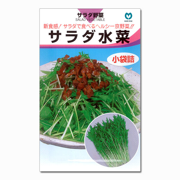 【有効期限25年10月】ミズナ（水菜）種：サラダ水菜*