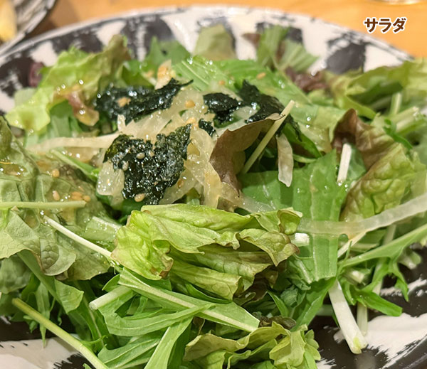 【有効期限25年10月】ミズナ（水菜）種：サラダ水菜*
