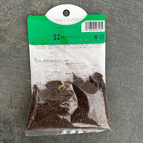 フリチラリア(ミニ):ミハイロフスキー7球入り