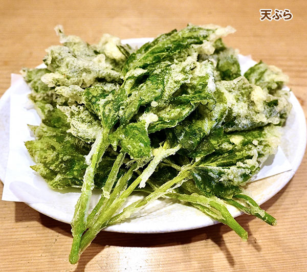 アシタバ（明日葉）の種[野菜タネ]
