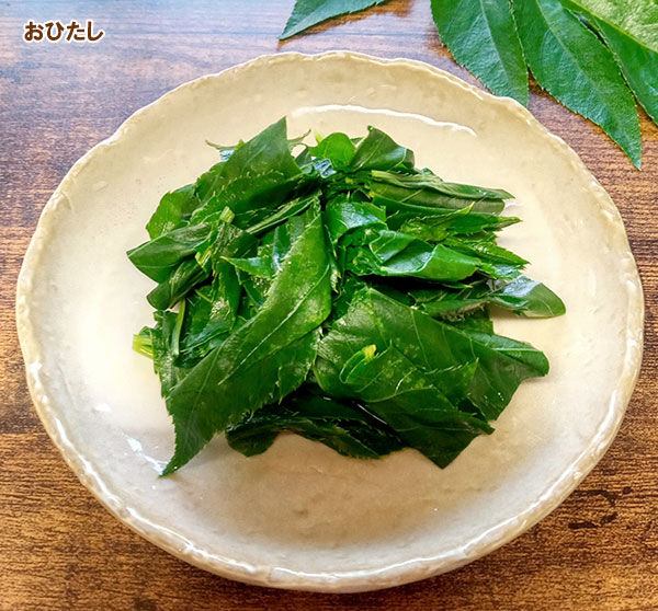 アシタバ（明日葉）の種[野菜タネ]