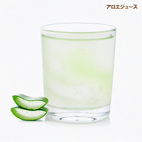 キダチアロエ5号鉢植え 2株セット