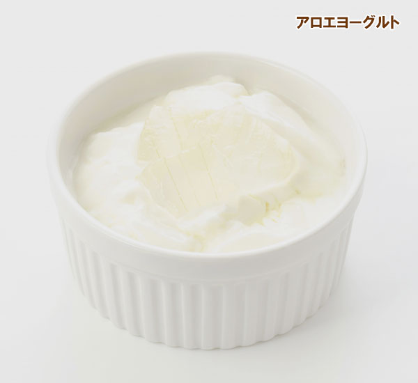 キダチアロエ5号鉢植え 2株セット