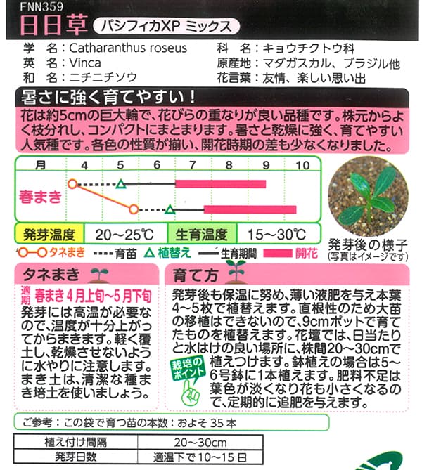 ニチニチソウ（日日草）：生育旺盛なパシフィカXP ミックス[タキイ 花タネ]