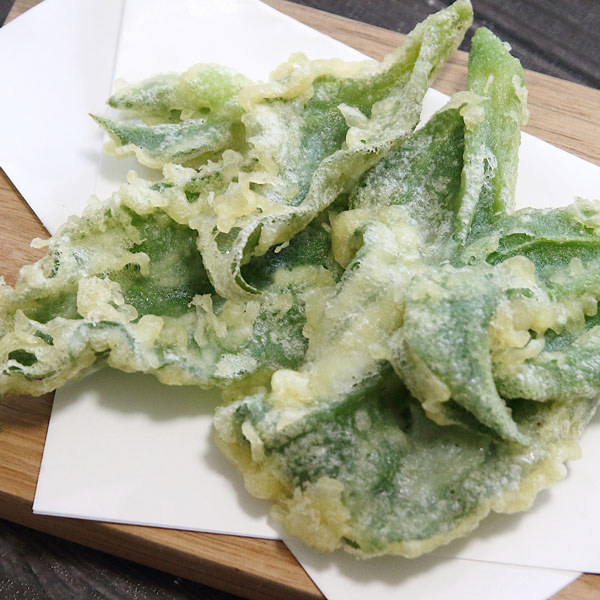 [送料無料][26年2月中下旬予約]アイスプラント3号ポット苗*24株セット