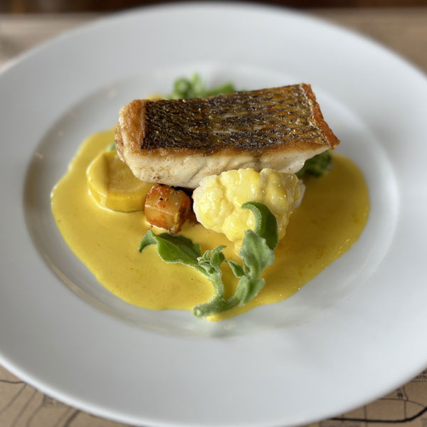 [送料無料][26年2月中下旬予約]アイスプラント3号ポット苗*24株セット