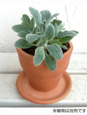 テラコッタポット12(直径12cm、高さ11cm)ソーサー付き