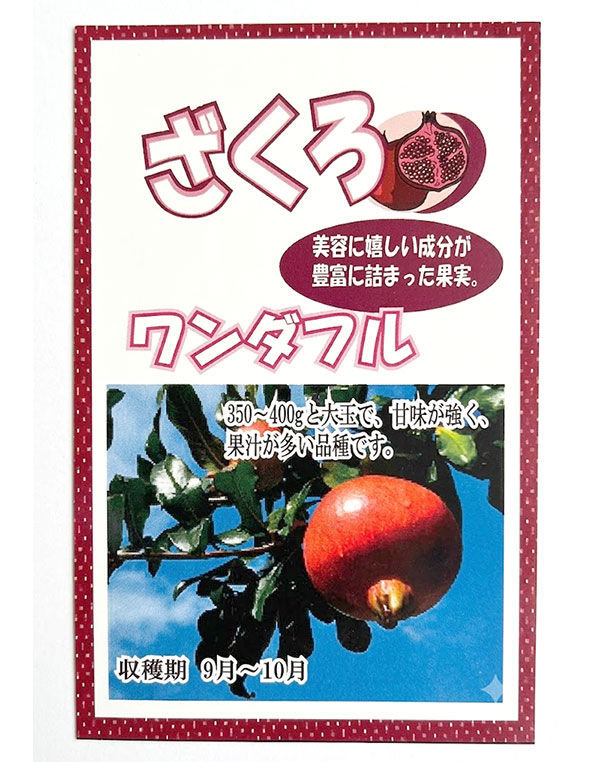 園芸ネット本店｜ザクロ（大実）：ワンダフル4-5号ポット の通販【公式】