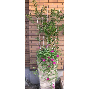 フラットトレリスFTS-1500:ホワイトクリーム(幅55cm、高さ175cm)