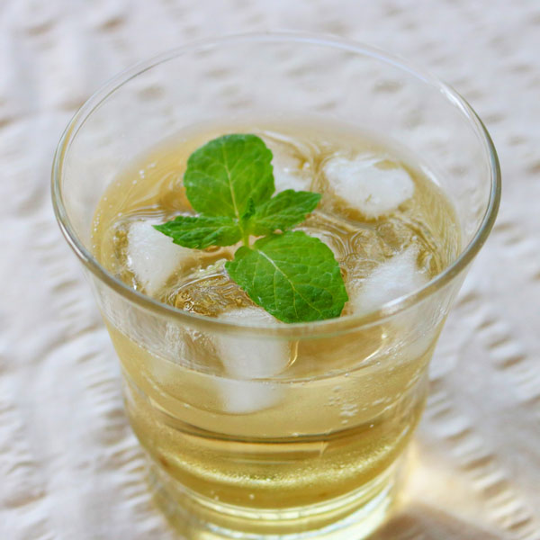 ミント：アップルミント3号ポット