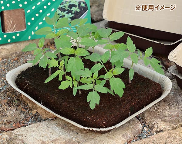 こまかいタネがまける土:ピートバン5枚セット