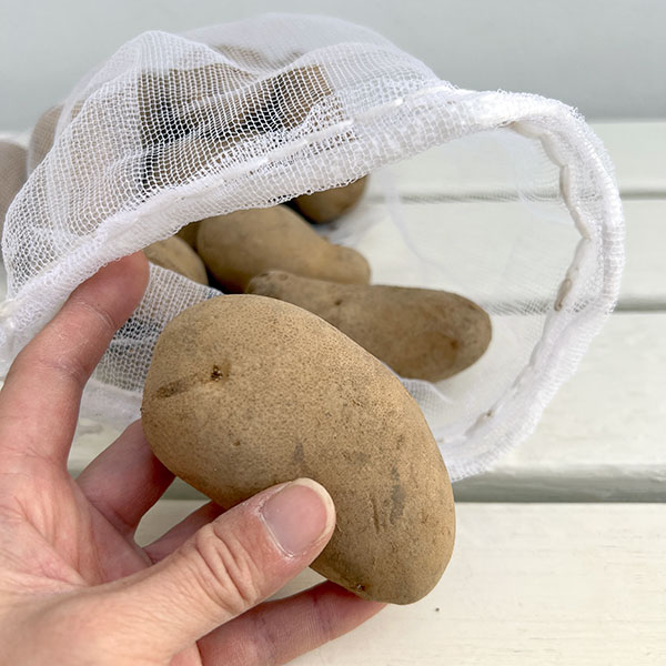 ジャガイモの種いも：メークイン1kg 2袋セット（合計2kg）