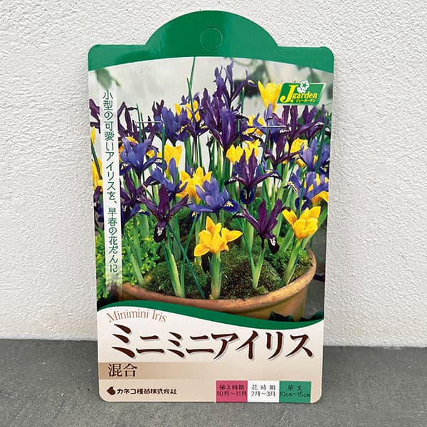 アイリス（ミニ）： 混合5球入り
