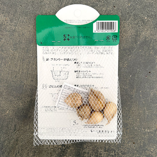 アイリス（ミニ）： 混合5球入り