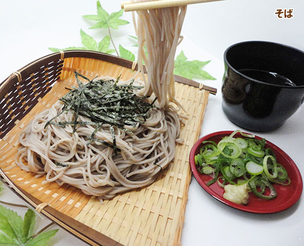 ネギ：九条葉ネギ[香り良く薬味に大活躍！　サカタ　野菜タネ]