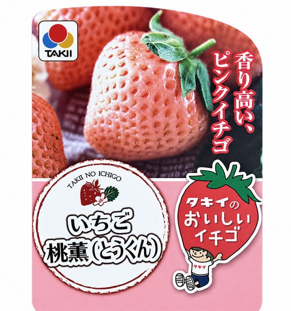 園芸ネット本店｜イチゴ：とうくん（桃薫）3号ポット 6株セット の通販