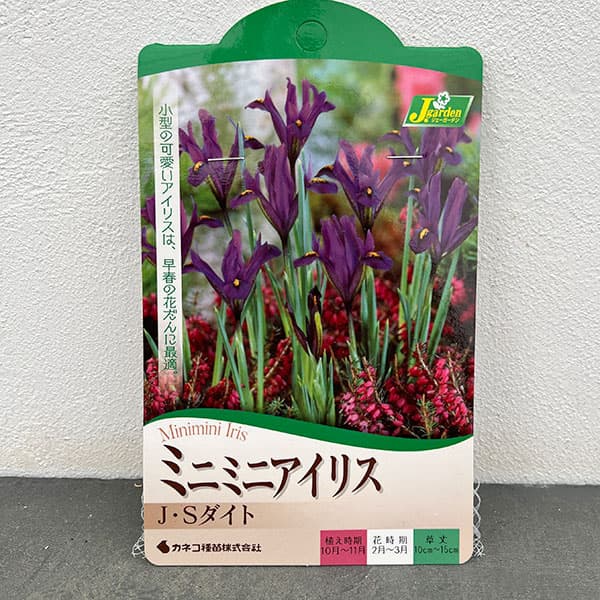 アイリス（ミニ）：JSダイト5球入り