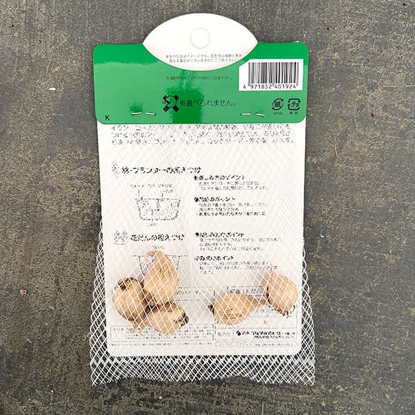 アイリス（ミニ）：JSダイト5球入り