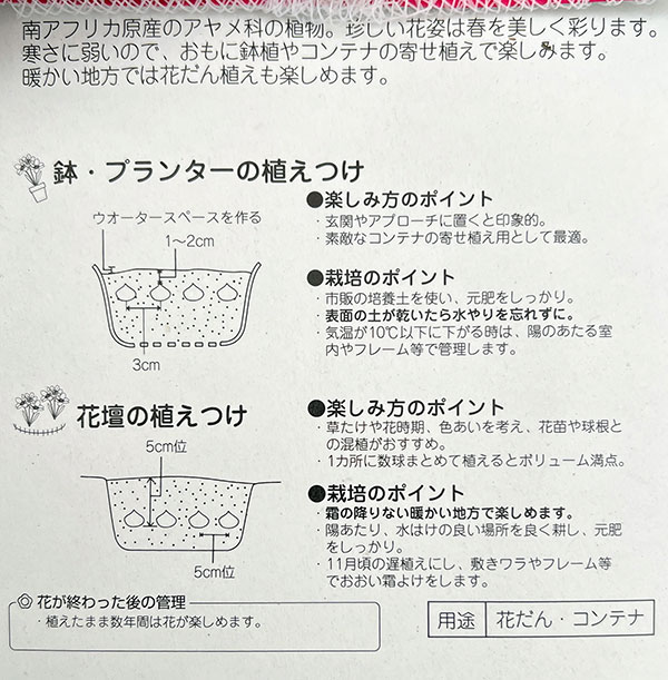 [棚卸セール]スパラキシス：混合12球入り