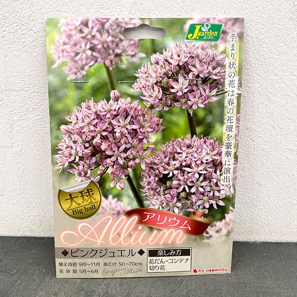 アリウム：ピンクジュエル2球入り