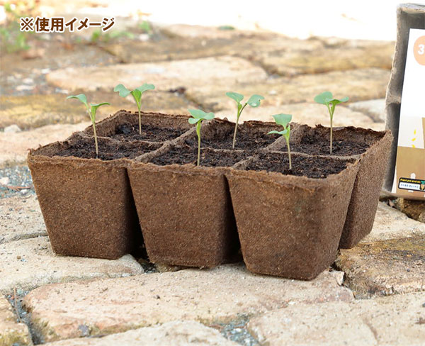 そのまま植えられる連結エコポット:ジフィーストリップ角型8cm・6個連結・4枚入り