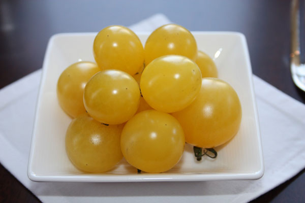 ×生食用イタリアントマト（無農薬）：イタリアンアイスレモン3.5号ポット