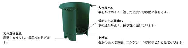 バラ用の鉢と用土と肥料のセット(バラ鉢10号)