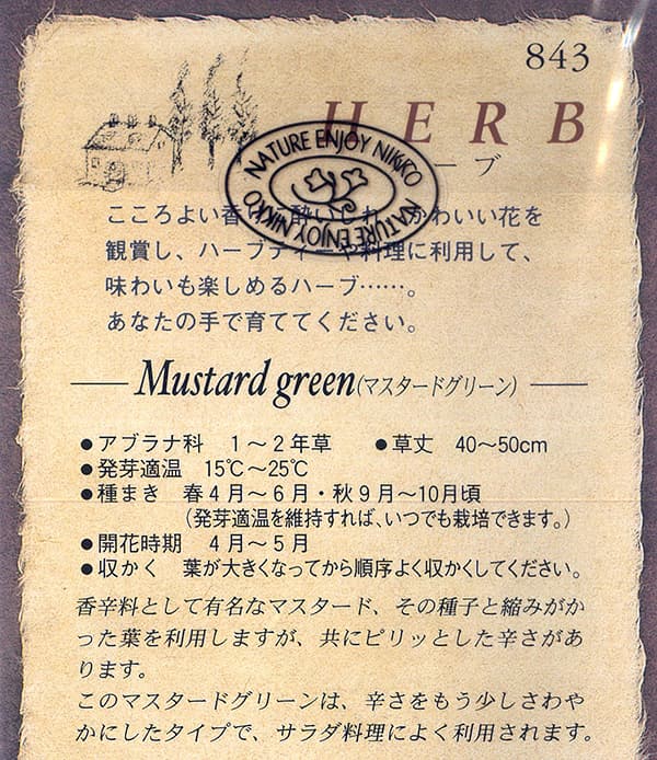 マスタードグリーン[種　ハーブのタネ]