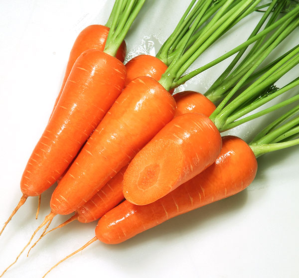 ニンジン種：ひとみ五寸人参*[野菜タネ]