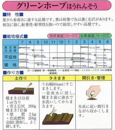 ホウレンソウ：グリーンホープ[野菜タネ]