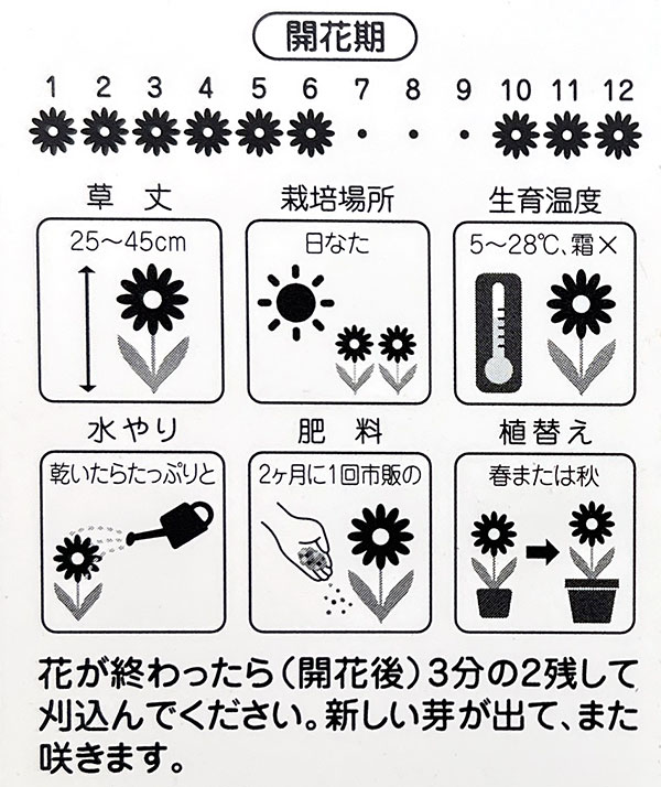 マーガレット:サワーリップル4.5号ポット