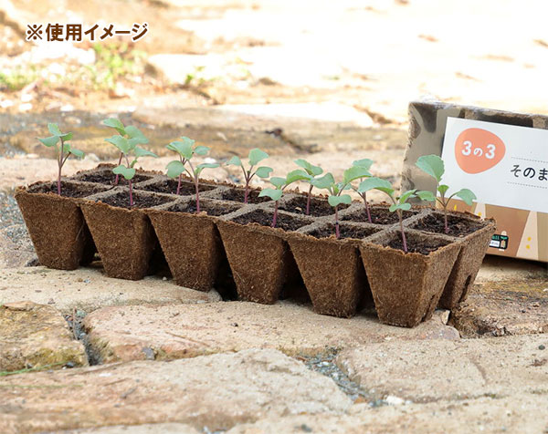 そのまま植えられる連結エコポット:ジフィーストリップ角型5cm・12個連結・5枚入り
