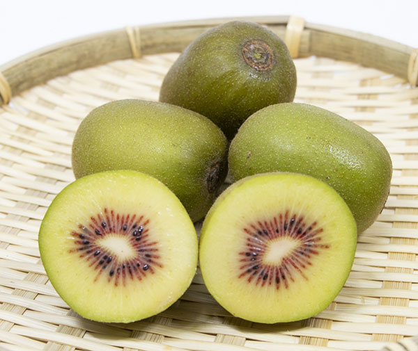 キウイ（メス木）：紅妃（こうひ） 4～5号ポット＊＊