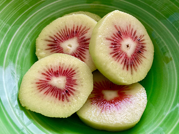 キウイ（メス木）：紅妃（こうひ） 4～5号ポット＊＊