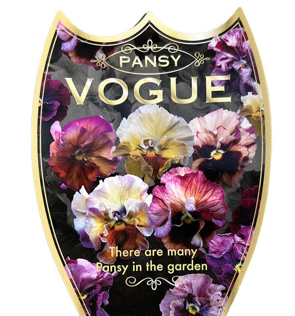 【新発売】Bogue - COME 園芸ネット本店｜パンジー：ヴォーグ（花色アソート）3.5号ポット の