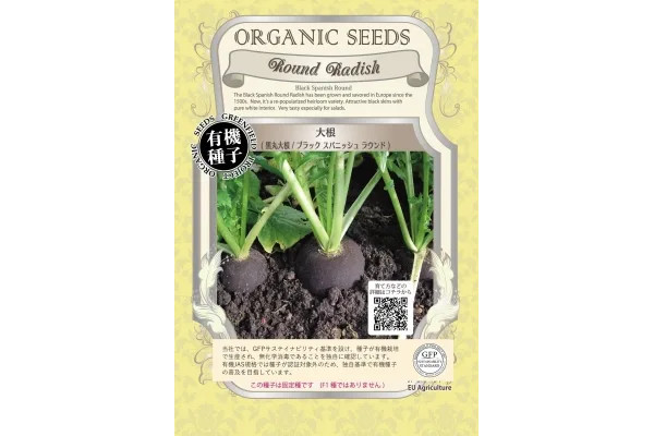 野菜の種：有機種子　大根（ブラックスパニッシュラウンド　黒丸大根）[ダイコンのタネ]