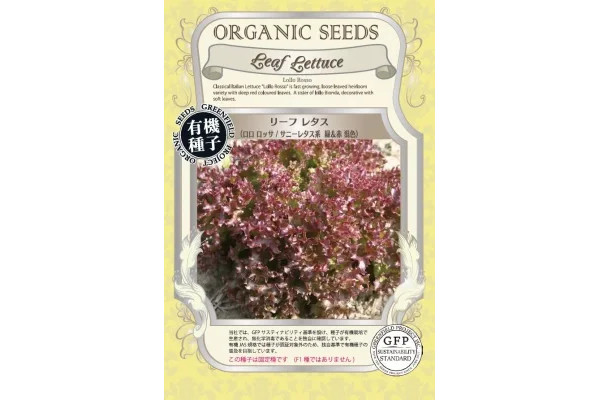 野菜の種：有機種子　リーフレタス（ロロロッサ 緑＆赤混色）[野菜タネ]