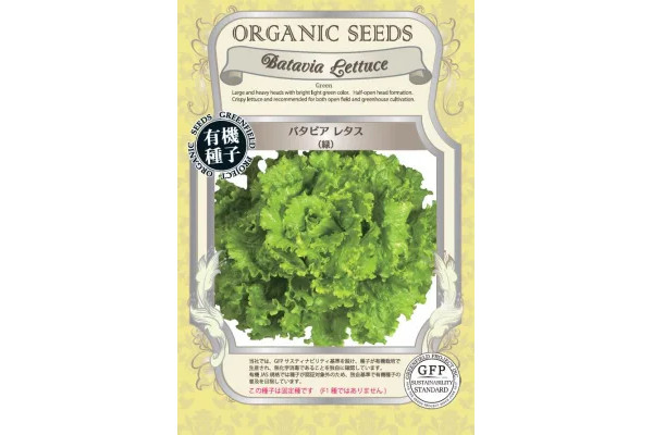 野菜の種：有機種子　バタビアレタス（緑）[野菜タネ]