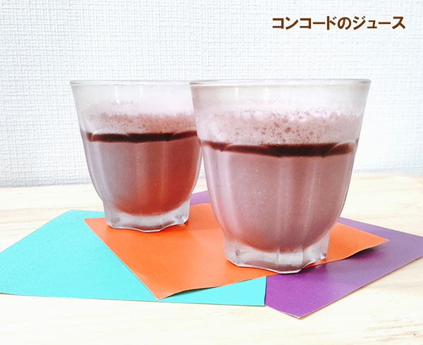 ブドウ：コンコード接木苗4～5号ポット
