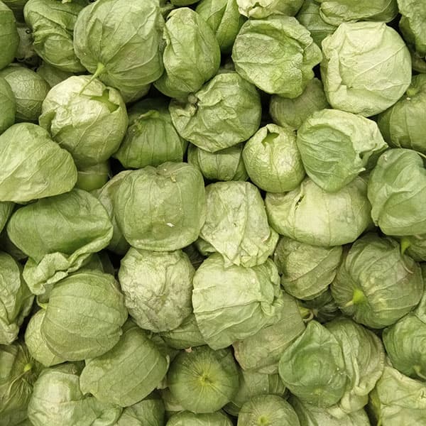 食用ホオズキ：トマティーヨの種[メキシコ野菜 サルサソース・サルサベルデに！春まき 野菜のタネ]