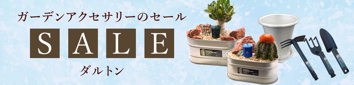 ガーデンアクセサリーのセール:ダルトン