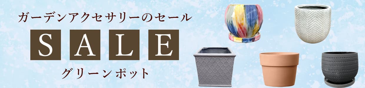 ガーデンアクセサリーのセール:グリーンポット