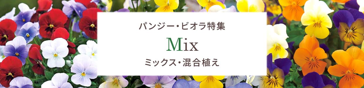ミックス・混合植え