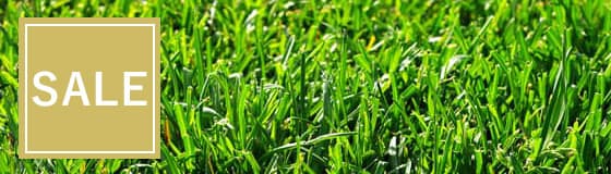 種・球根・芝生