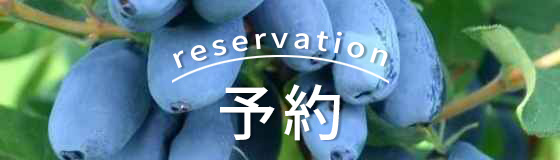 苗　果樹