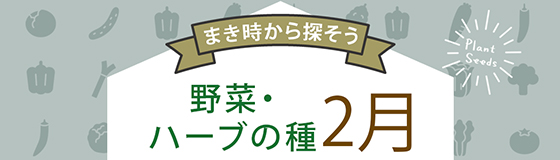 野菜・ハーブの種　2月