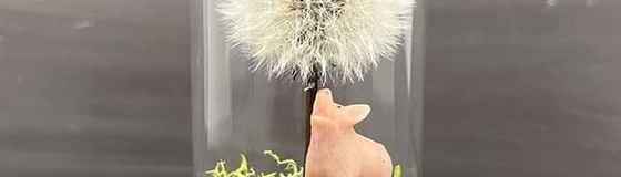 デコレーショングッズ