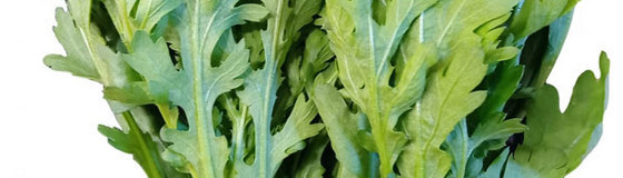 野菜とハーブの苗