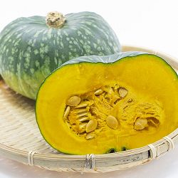 カボチャ：えびす自根苗3.5号ポット 3株セット